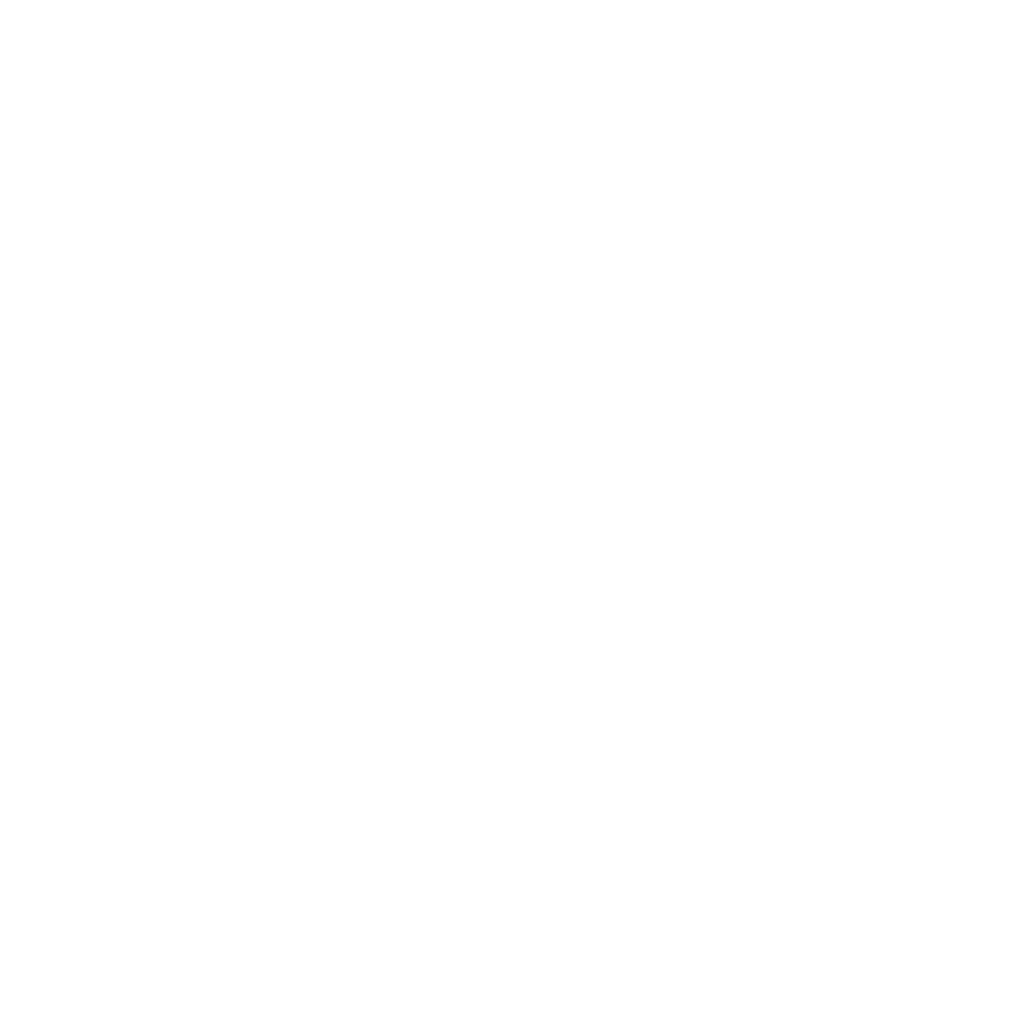 Commercial Loan